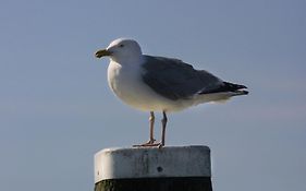 Paal 8 Hotel Aan Zee