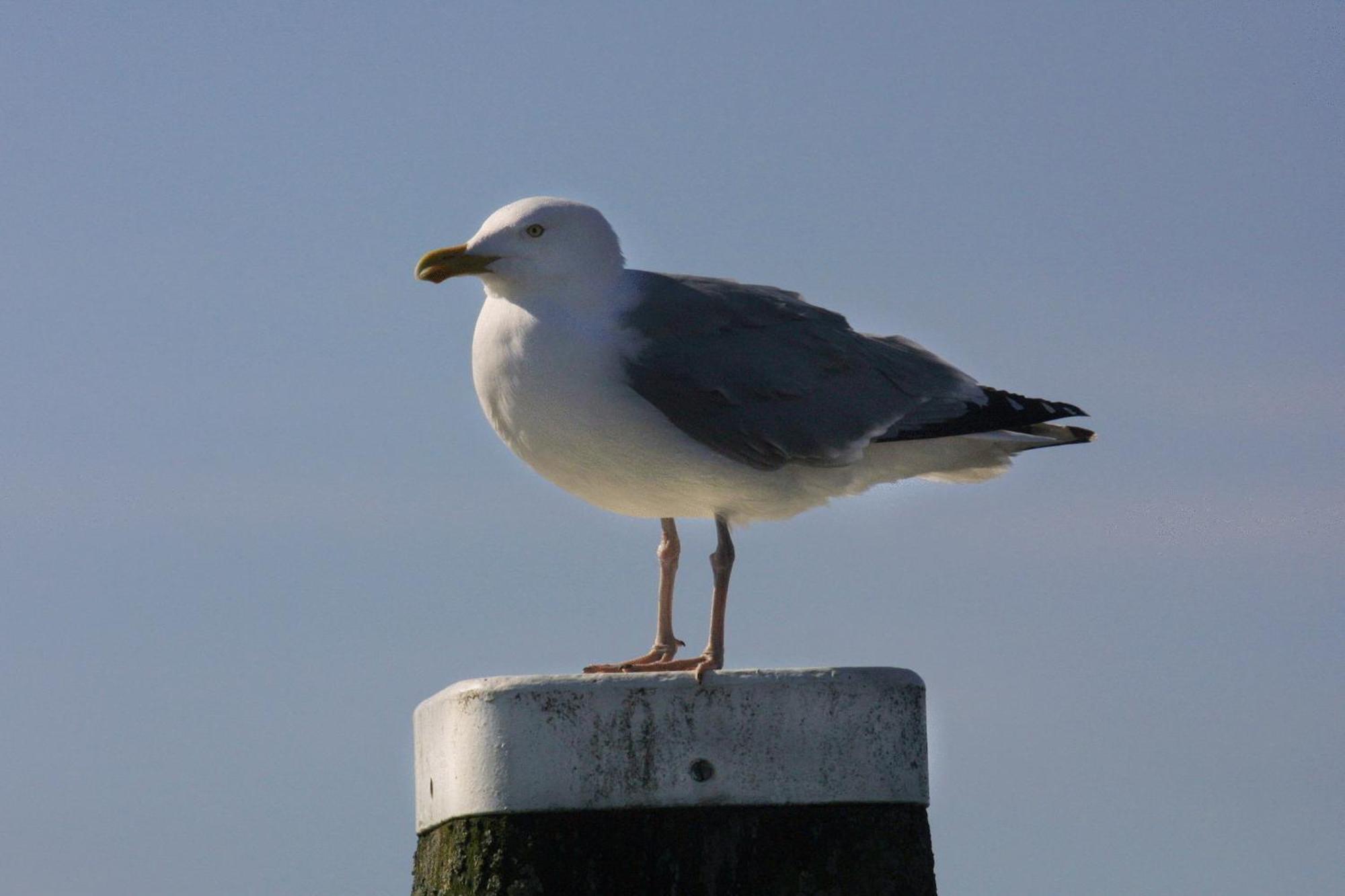 Paal 8 Hotel Aan Zee West aan Zee Zewnętrze zdjęcie