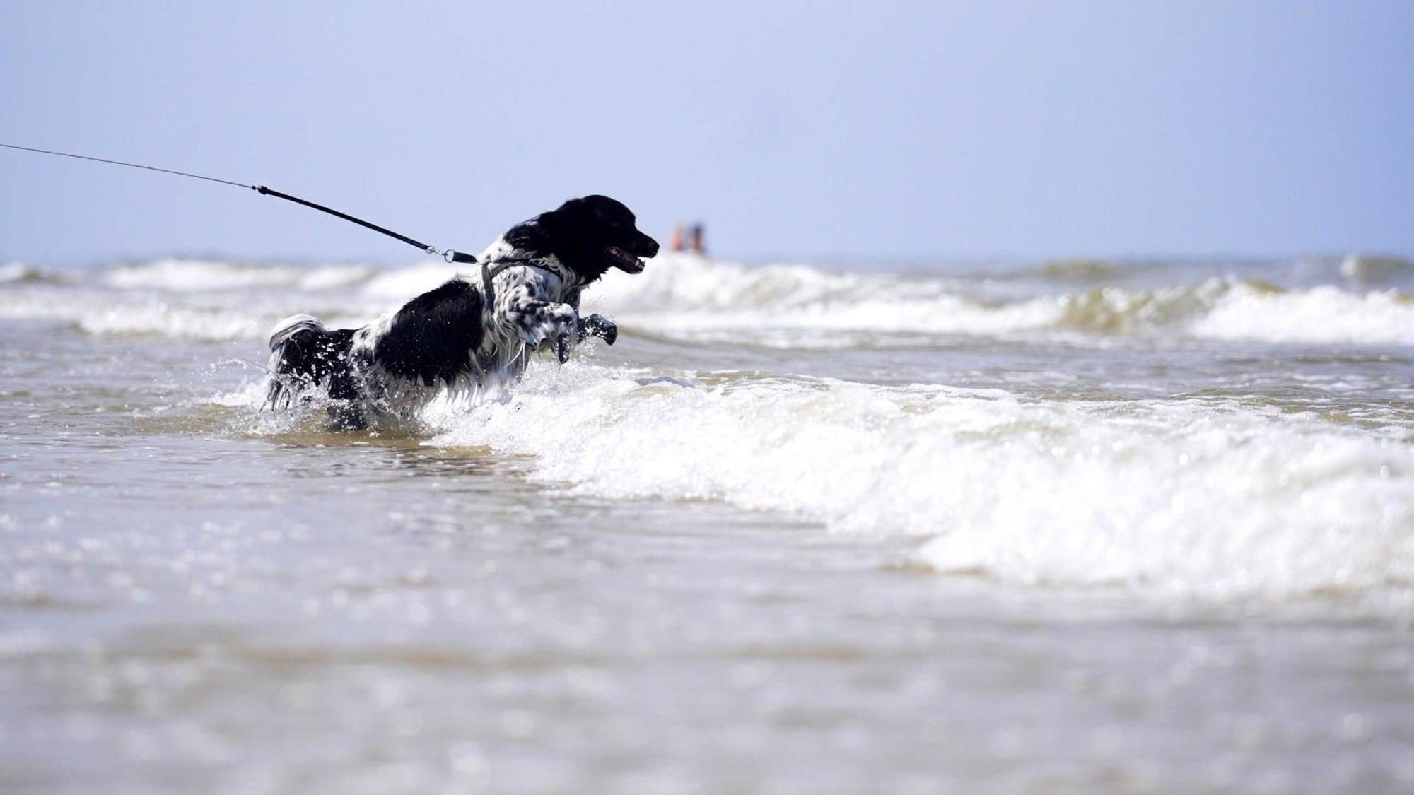 Paal 8 Hotel Aan Zee West aan Zee Zewnętrze zdjęcie